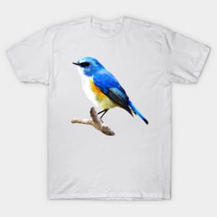 Dramabite Orange Flanked Bush Robin Watercolor Bird Watercolour Animal T-Shirt